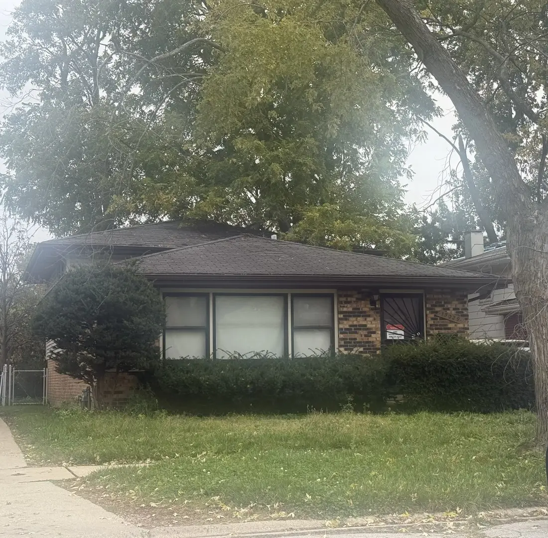 15029 Beachview Terrace, Dolton, IL 60419 - #1