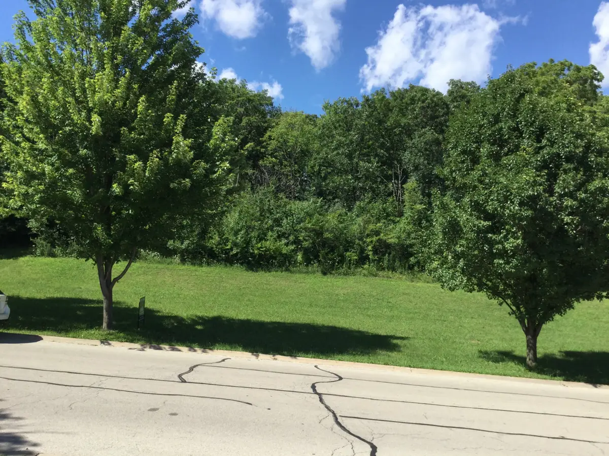 517 Rivers Edge Drive, Minooka, IL 60447 - #1