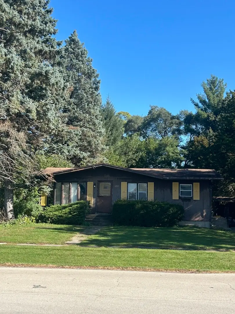 1207 Van Buren Street, Belvidere, IL 61008 - #1