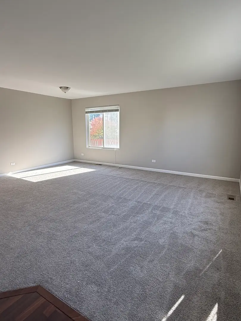 919 Valley Stream Drive, Pingree Grove, IL 60140 - #2