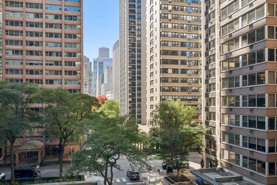 253 E Delaware Place #5H, Chicago, IL 60611 - #3