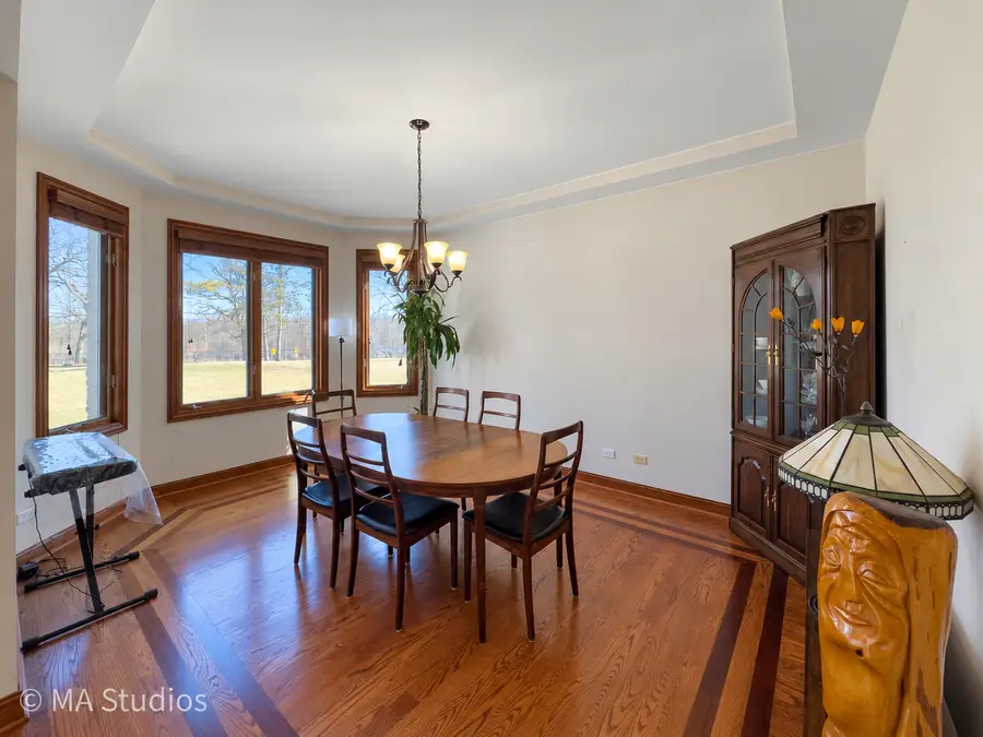 9030 Elm Avenue, Burr Ridge, IL 60527 - #3