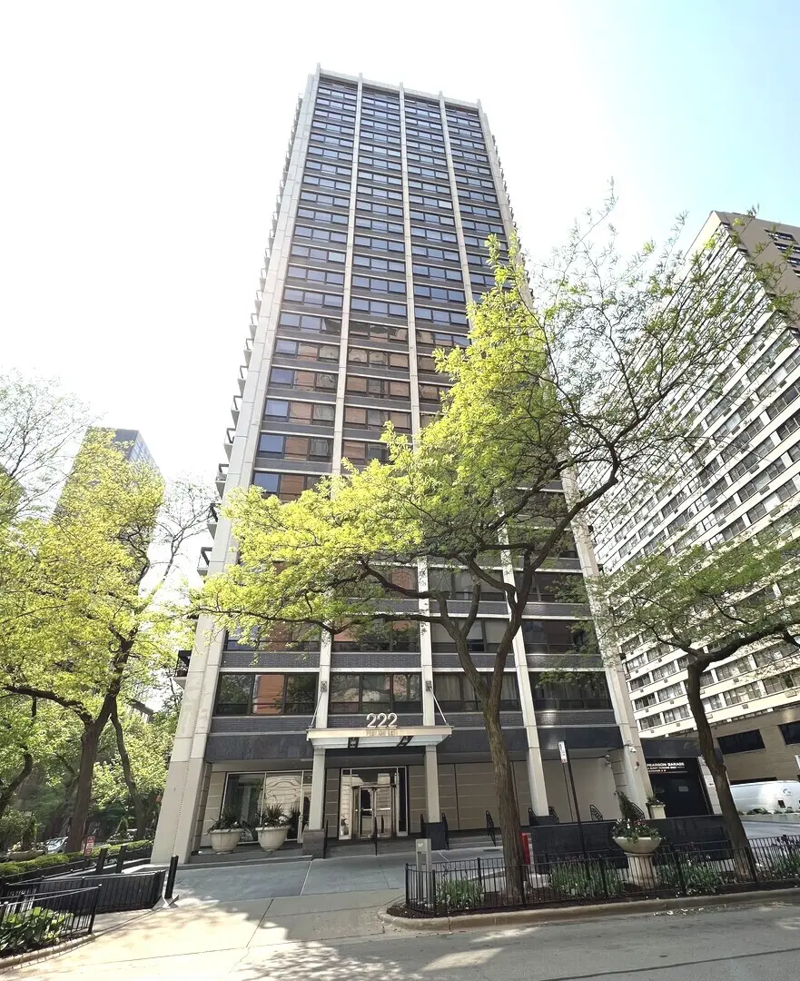222 E Pearson Street #1107, Chicago, IL 60611 - #1