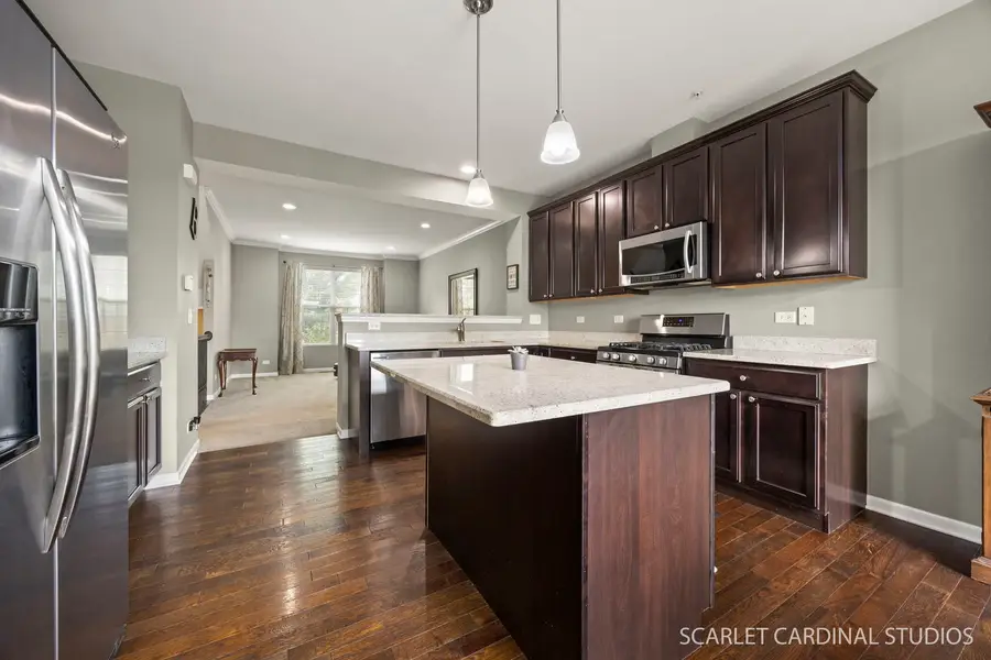 N095 Preserve Court, Winfield, IL 60190 - #3