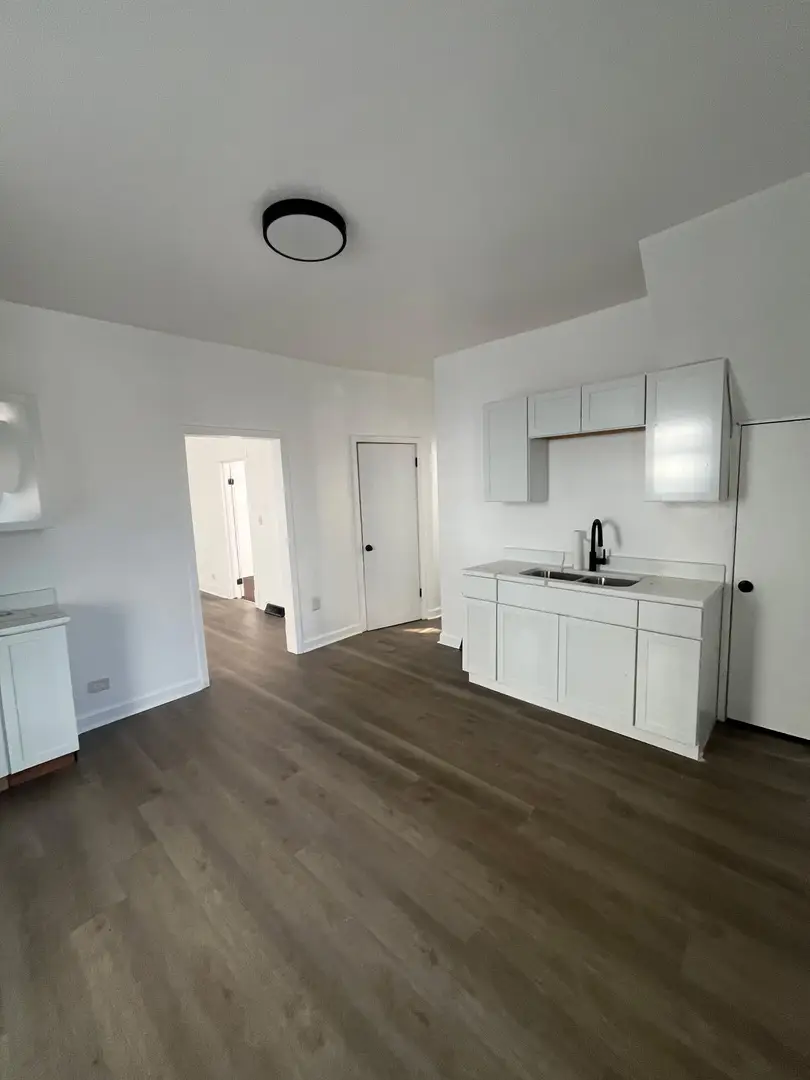 316 W 108th Place, Chicago, IL 60628 - #3