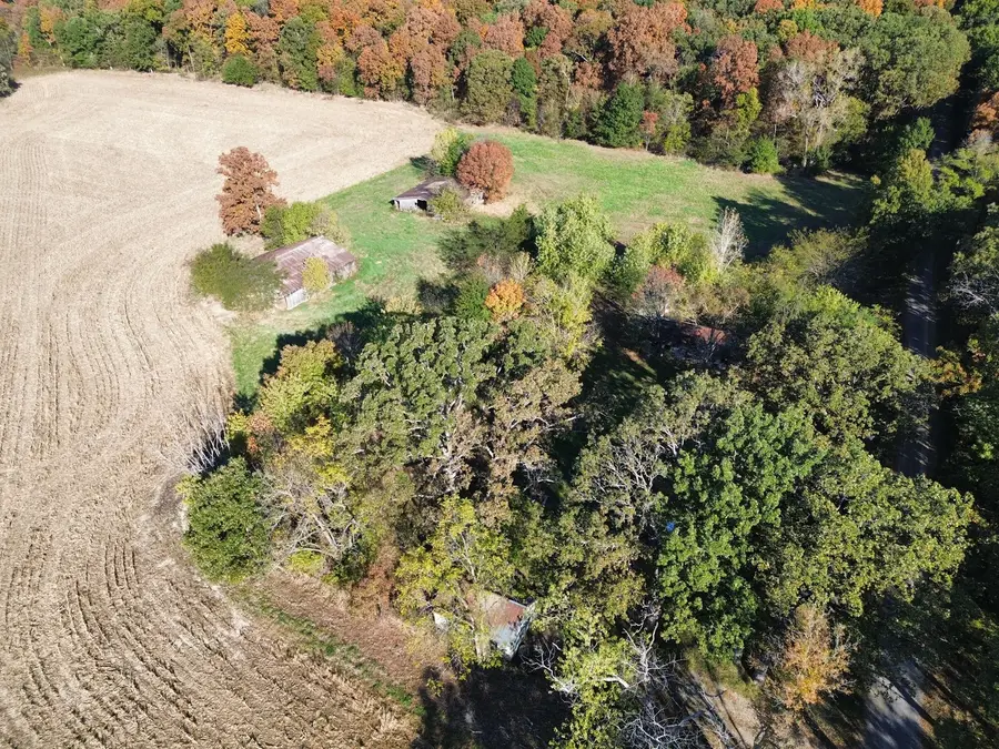 667 Linden Drive, Xenia, IL 62899 - #3