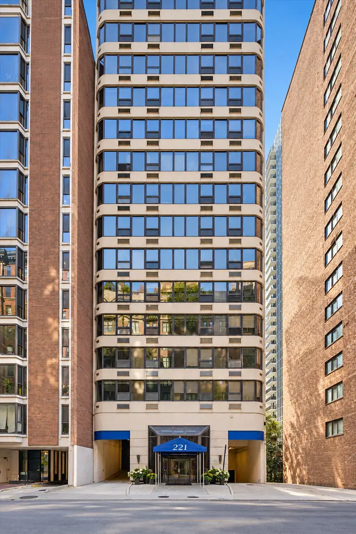 221 E Walton Place #14B, Chicago, IL 60611 - #1