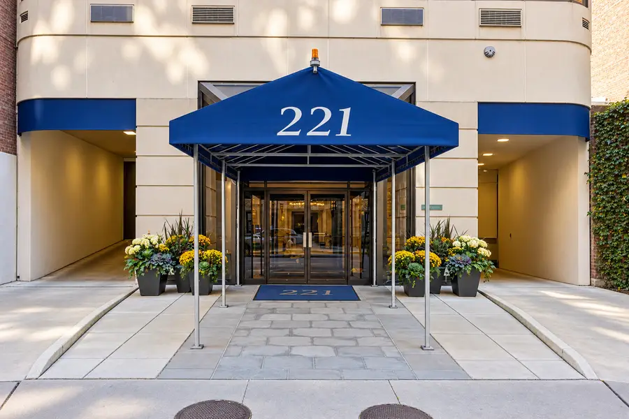 221 E Walton Place #14B, Chicago, IL 60611 - #2