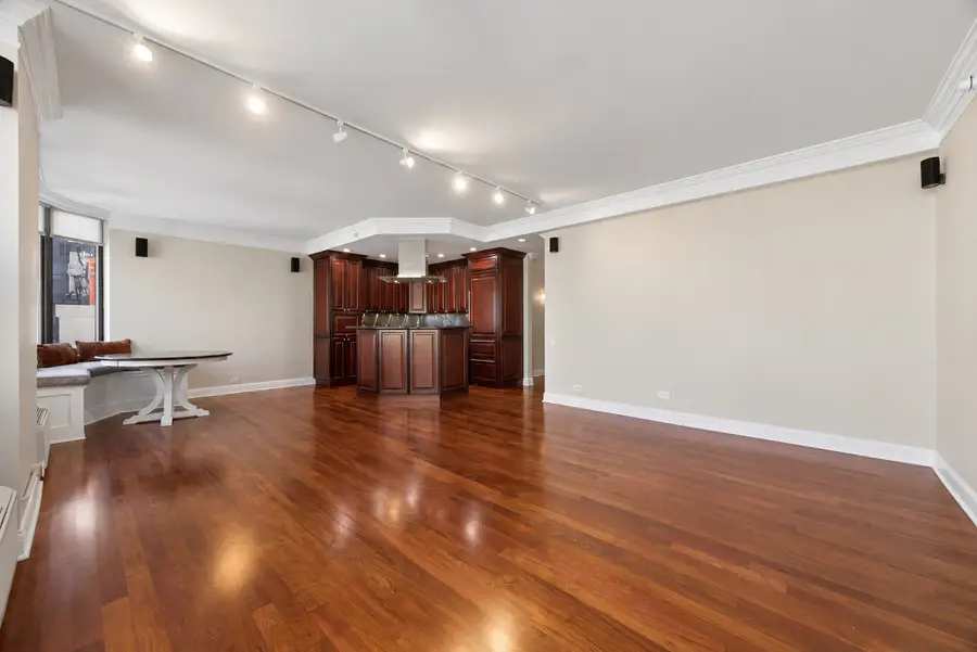 221 E Walton Place #14B, Chicago, IL 60611 - #3