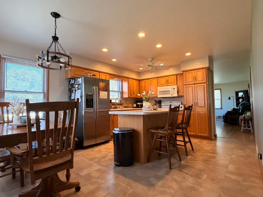 407 W Santee Street, Sublette, IL 61367 - #3