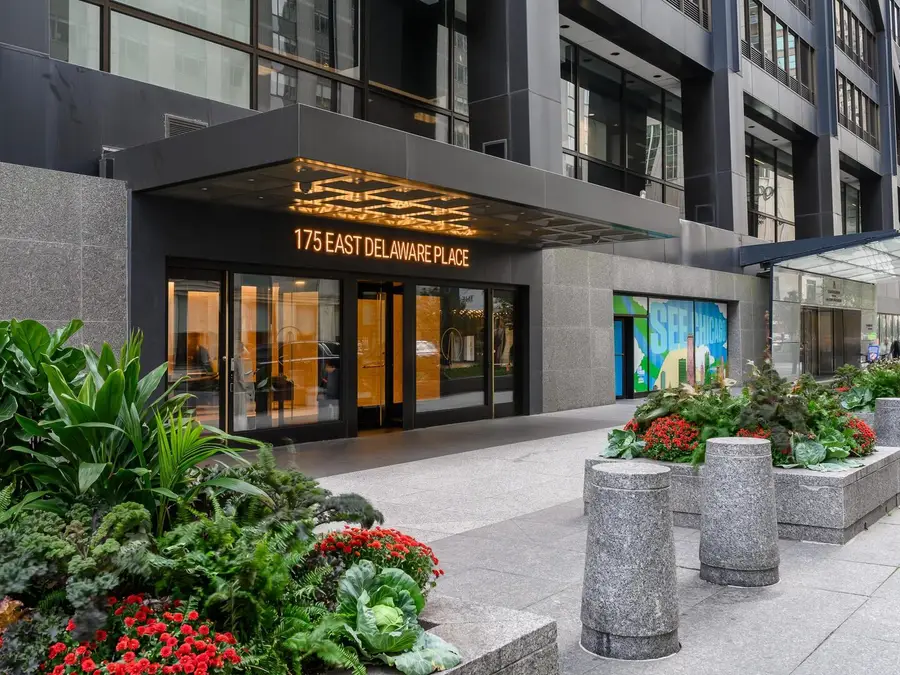 175 E Delaware Place #7107, Chicago, IL 60611 - #2