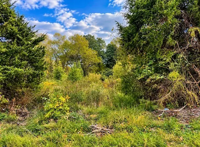 TBD E Reynolds Lane, Mount Vernon, IL 62864 - #2