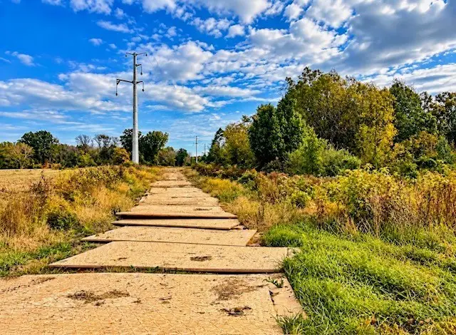 TBD E Reynolds Lane, Mount Vernon, IL 62864 - #3