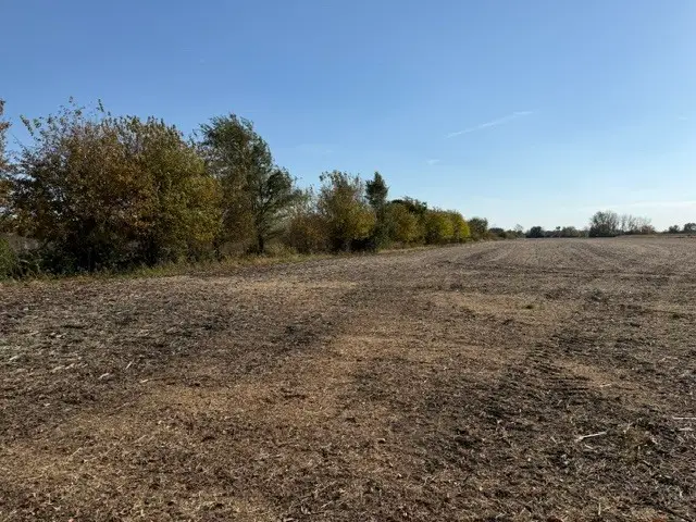 Parcel 014 Lorenzo Road, Wilmington, IL 60481 - #3