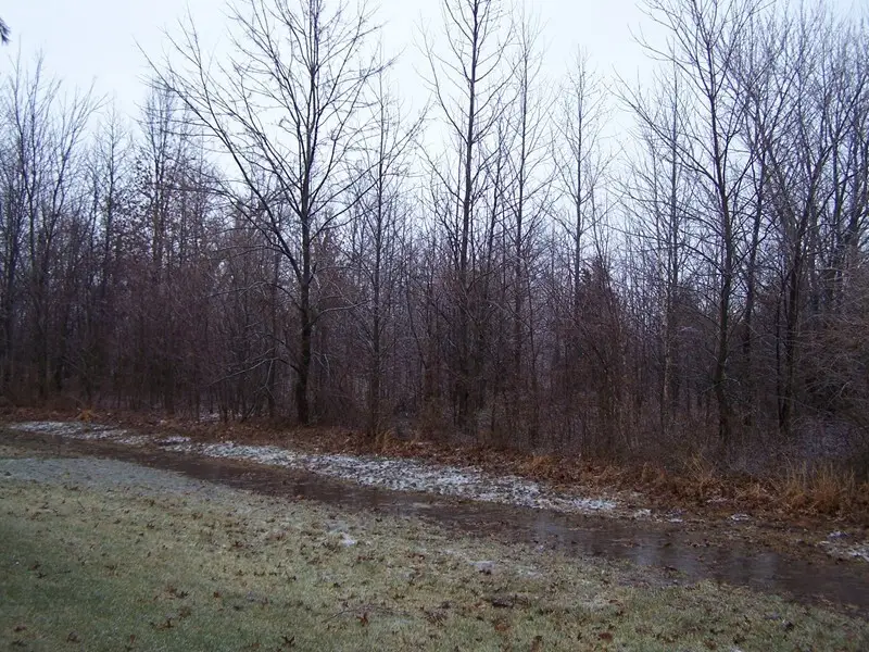 0000 Adams Drive, Marion, IL 62959 - Image #1