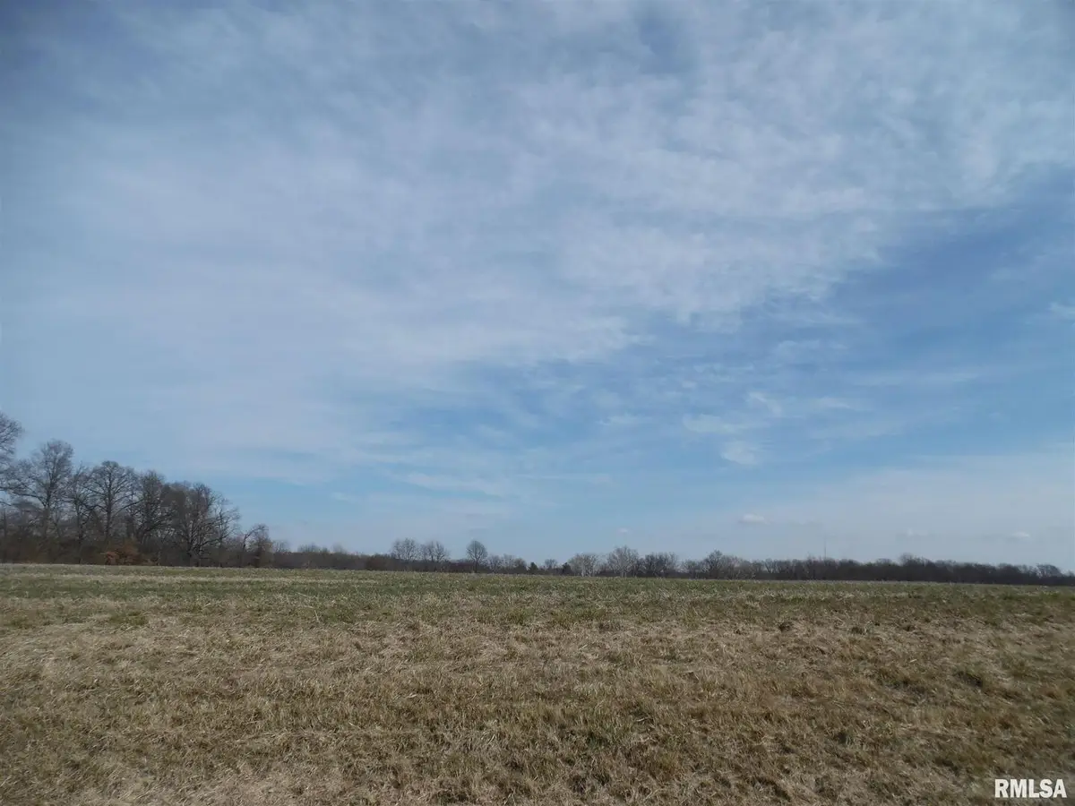 Tract 1 N Mcdermott Lane, Mount Vernon, IL 62864 - Image #1