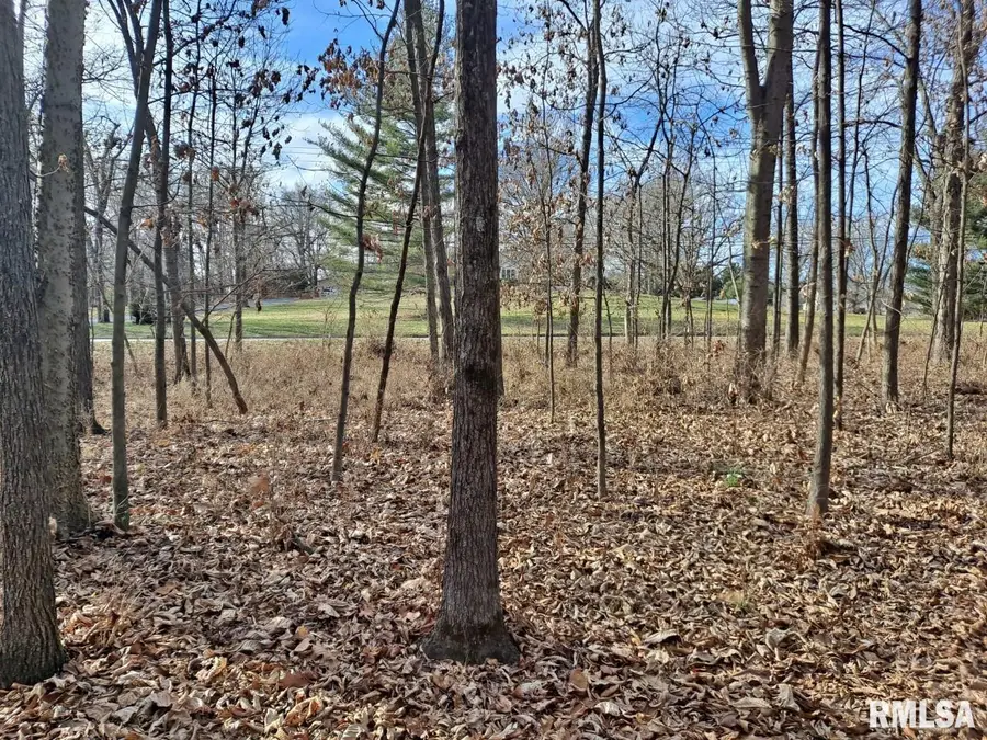 0000 N 27th Street, Mount Vernon, IL 62864 - #2