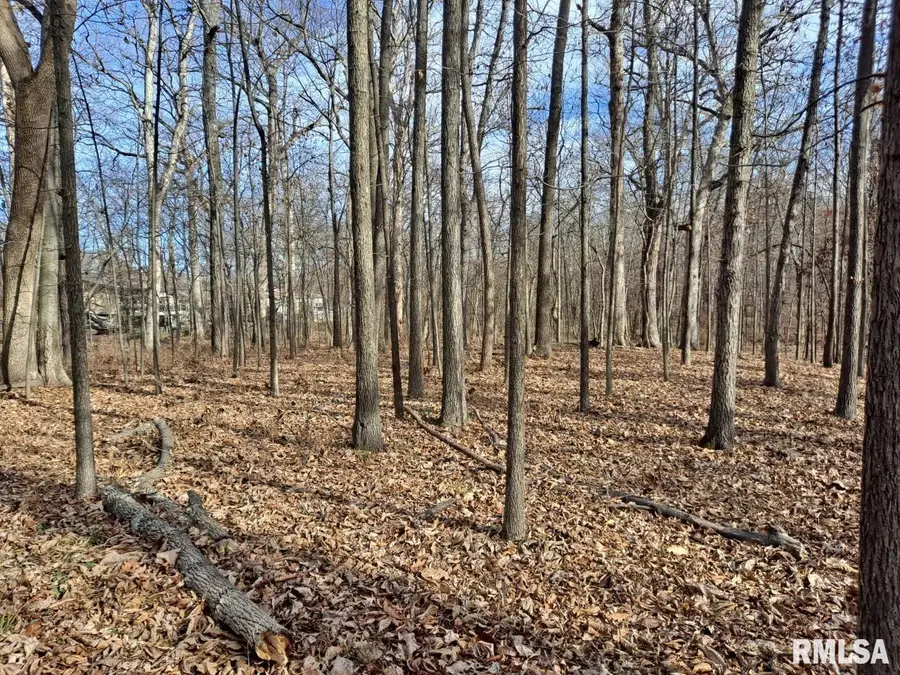 0000 N 27th Street, Mount Vernon, IL 62864 - #3