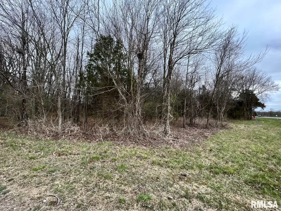 000 Us Route 51 Highway, De Soto Township, IL 62924 - Image #2