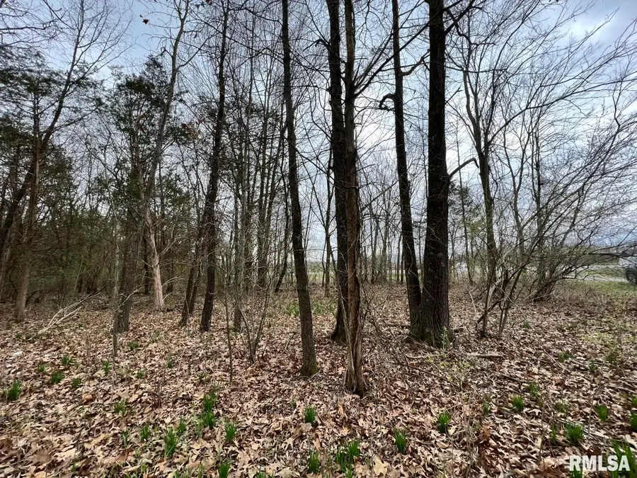 000 Us Route 51 Highway, De Soto Township, IL 62924 - Image #3