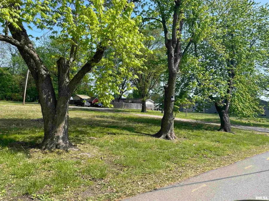 2011 Morgan Avenue, Marion, IL 62959 - Image #3