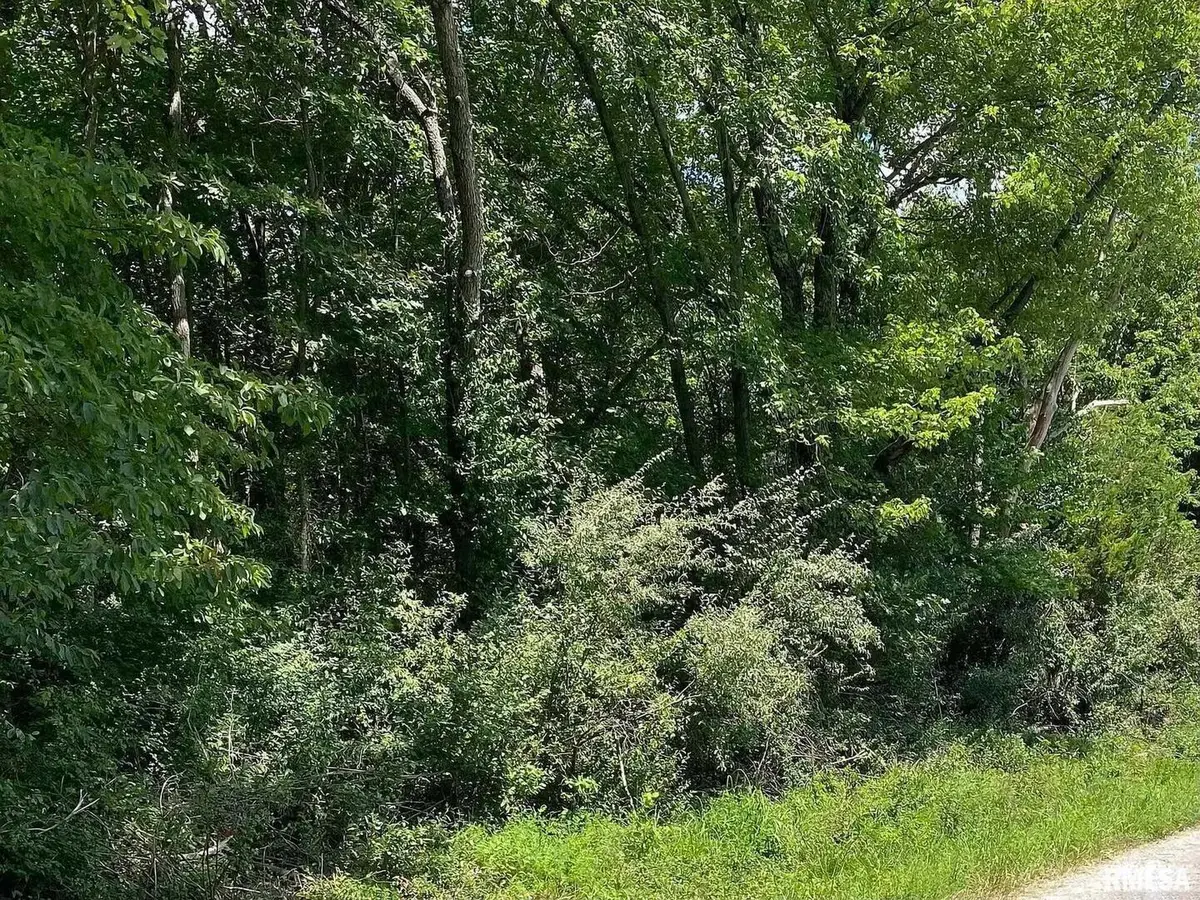 0000 4th Street, Bluford, IL 62814 - #1