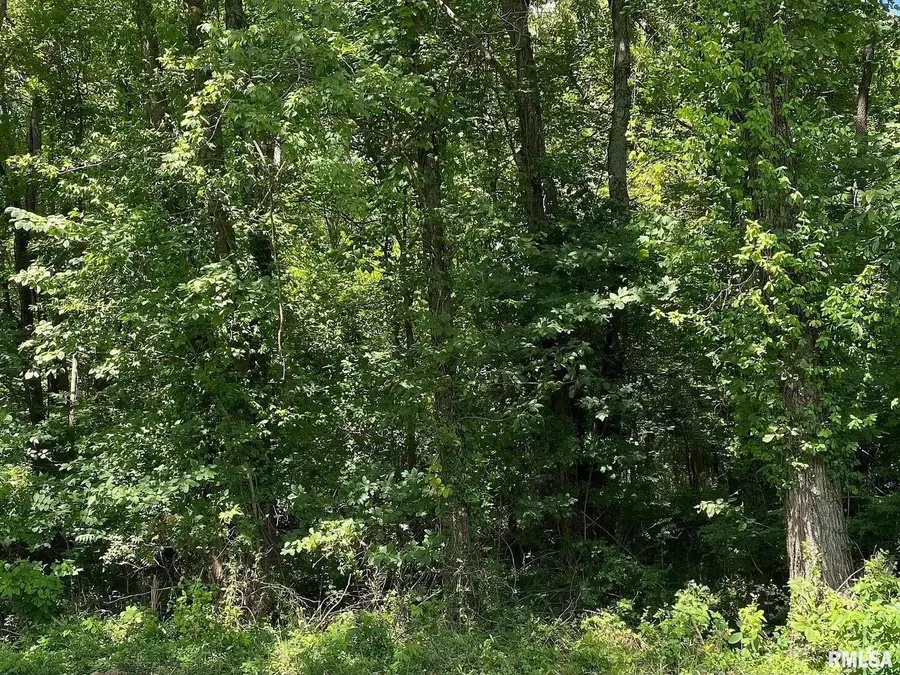 0000 4th Street, Bluford, IL 62814 - #2