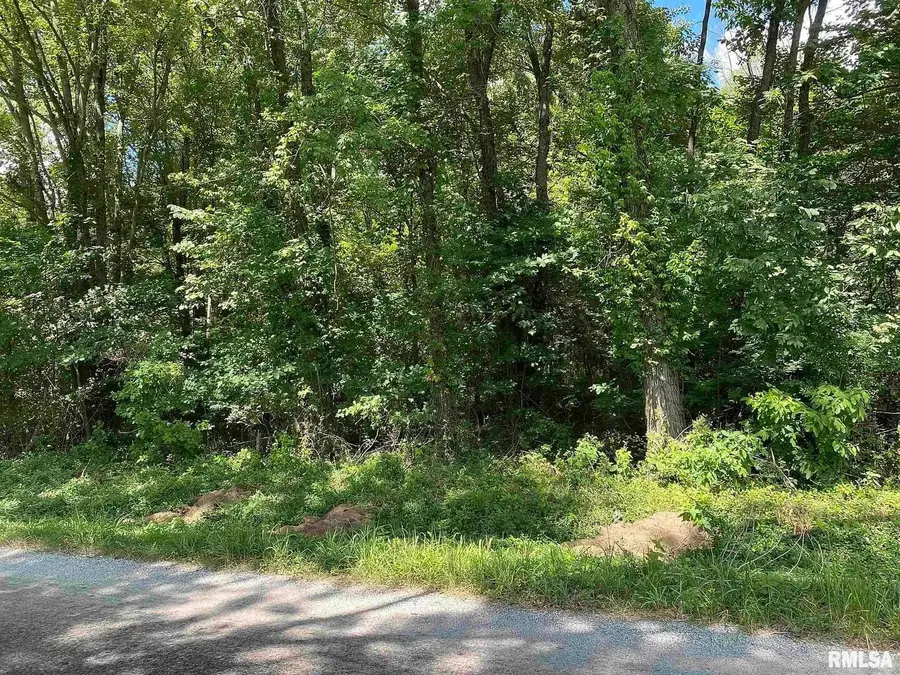 0000 4th Street, Bluford, IL 62814 - #3