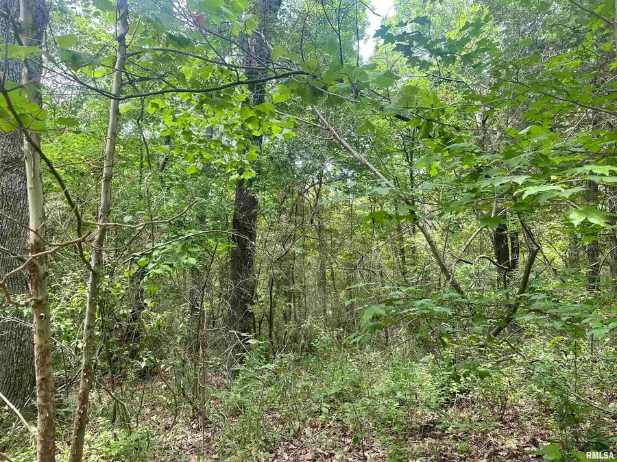 000 Knob Creek Road, Carbondale, IL 62903 - #2