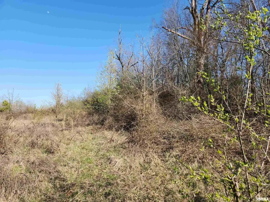 1300 Tolle Lane, Mount Vernon, IL 62864 - #3