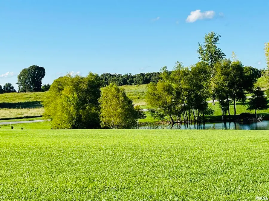 000 Shannon Lake, Anna, IL 62906-0000 - Image #3