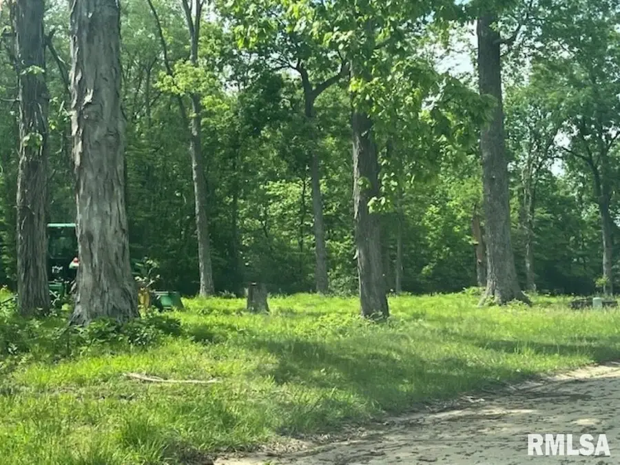 3440 (Lot 14) Ridge Crest Drive, Mount Vernon, IL 62864 - #2