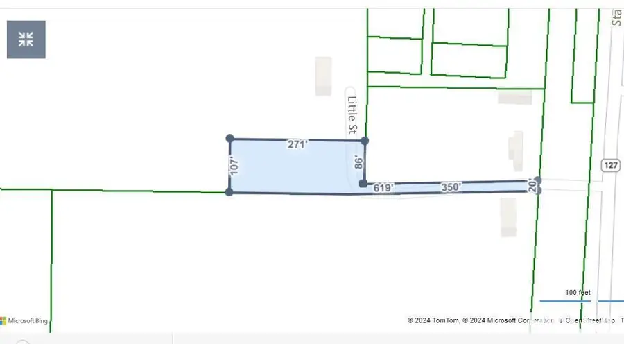 001 Little Street, Tamms, IL 62988 - #2