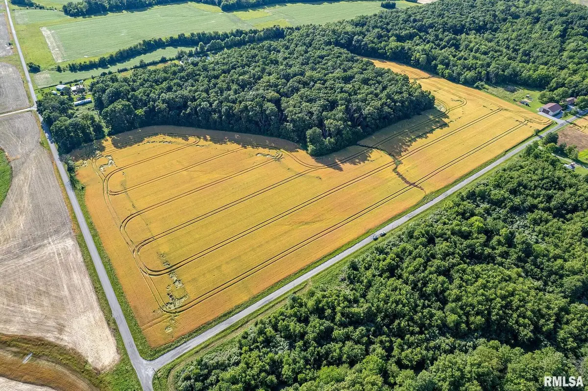 000 1325 N County Road, Cisne, IL 62823 - Image #1