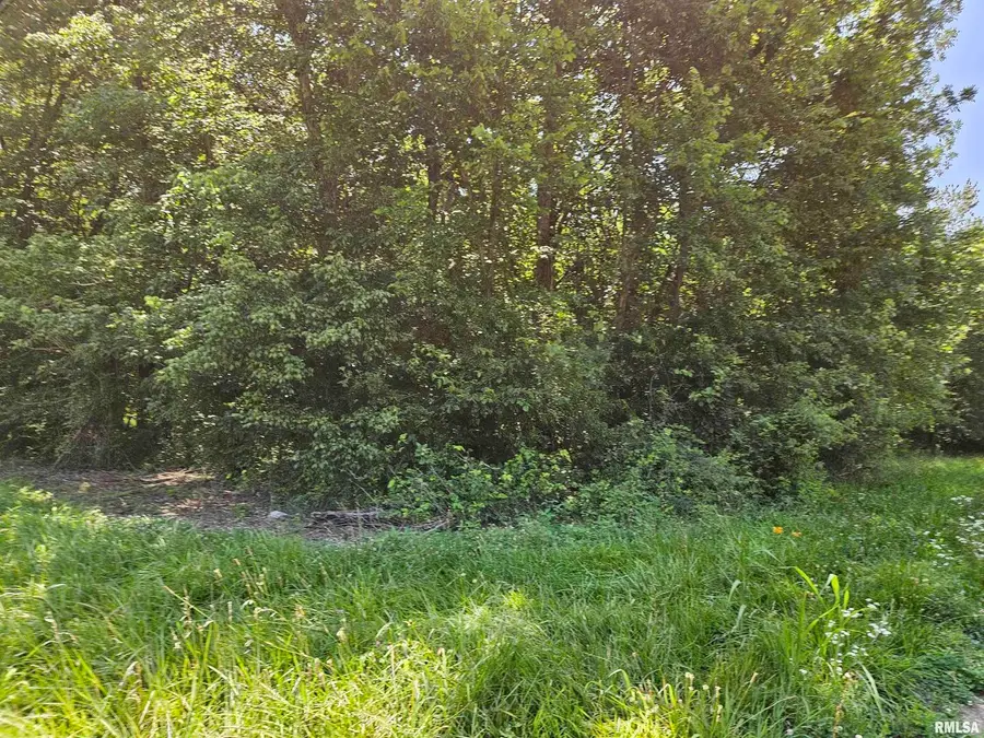 000 S 51 Road S, Pulaski, IL 62976 - Image #2