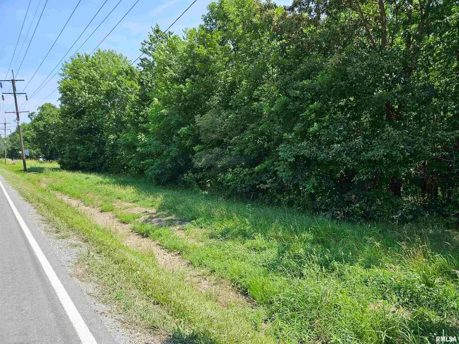 000 S 51 Road S, Pulaski, IL 62976 - Image #3