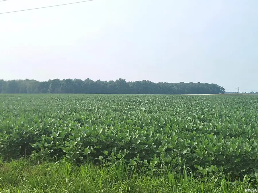 0 Gravel Lane, Louisville, IL 62858 - Image #3