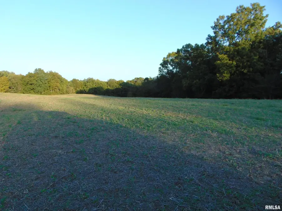 3048 Marlboro Road, Ava, IL 62907 - #3