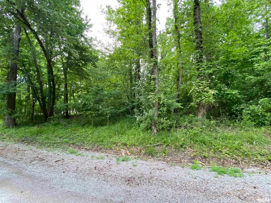 Lot 4 Choctaw Drive, Carbondale, IL 62901 - Image #3
