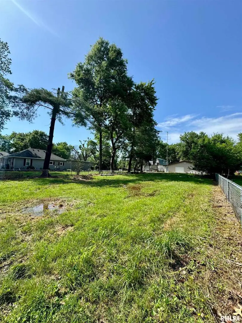 1203 W Elm Street, West Frankfort, IL 62896 - Image #3