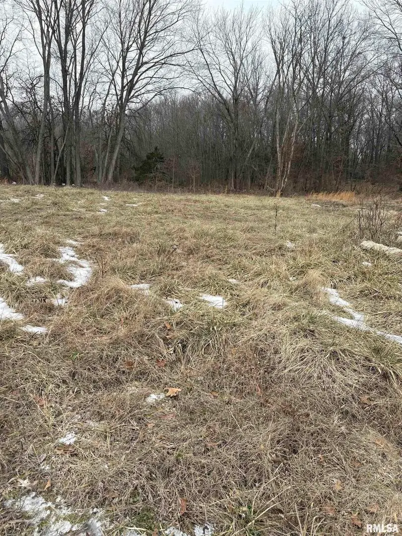 909-911 S Wilson Street, Benton, IL 62812 - #3