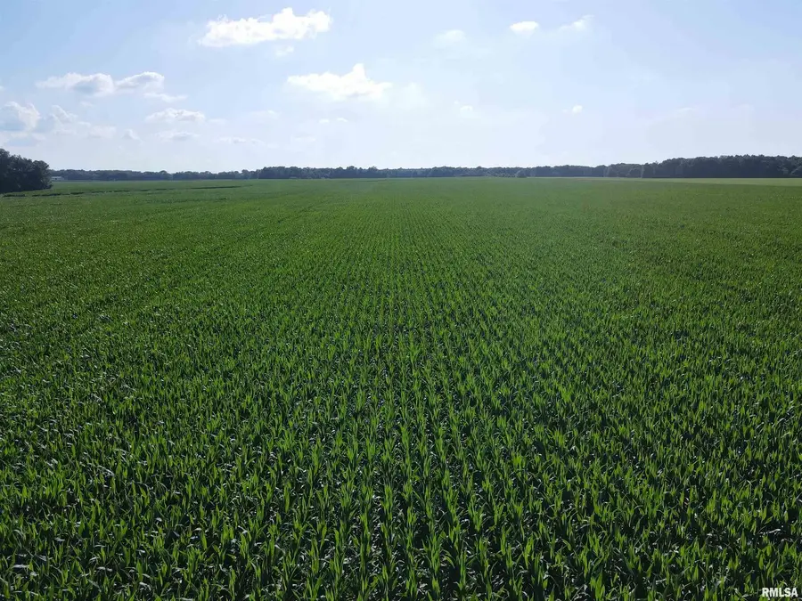 000 E County Road 900 Road, Montrose, IL 62445 - Image #2