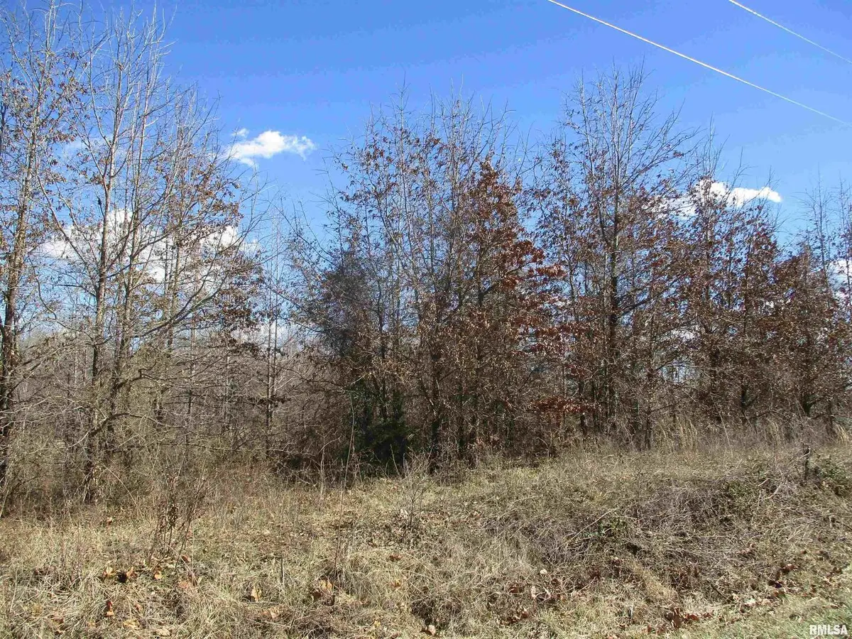 0000 Antioch Road, West Frankfort, IL 62896 - Image #1