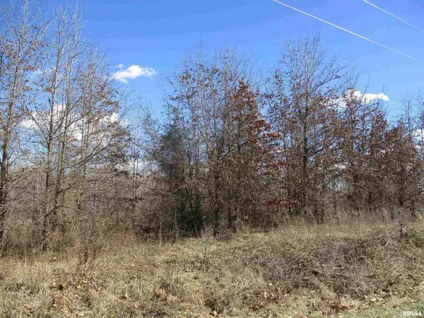 0000 Antioch Road, West Frankfort, IL 62896