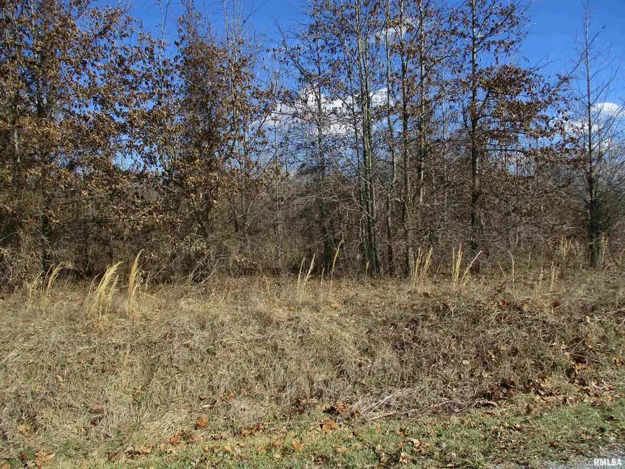 0000 Antioch Road, West Frankfort, IL 62896 - Image #3