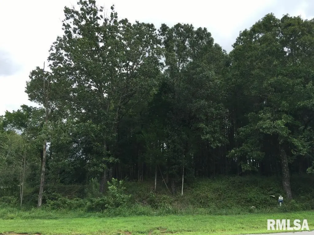 lot 287 Parrish Ridge Lane, Goreville No 2, IL 62972 - Image #1