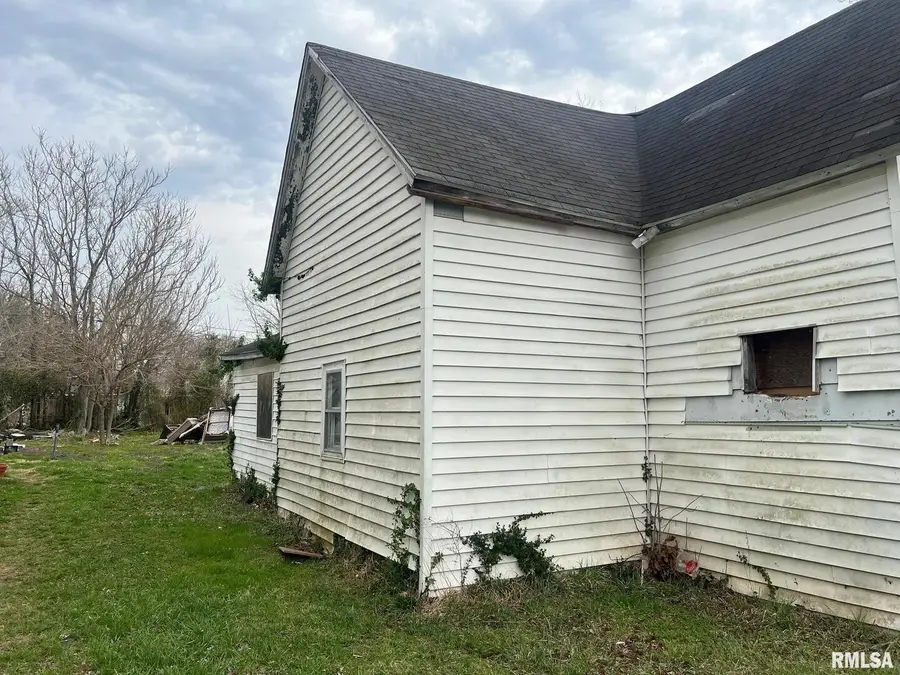 1011 Newton Avenue, Johnston City, IL 62951 - Image #3