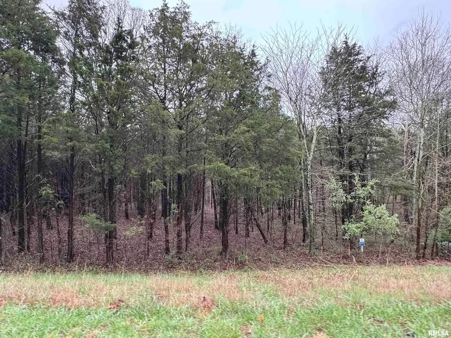 Lot 347 Clifty Lane, Goreville, IL 62939 - Image #3