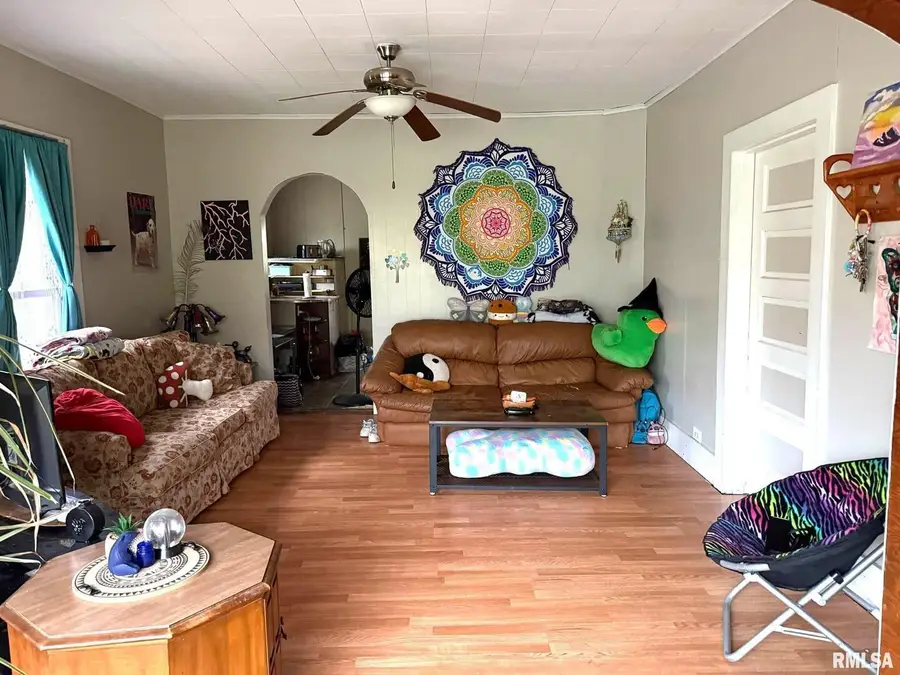 315 W Furlong Street, Carrier Mills, IL 62917-1259 - Image #2