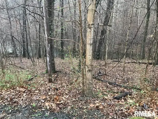 00 Deer Ridge Road, Goreville, IL 62939